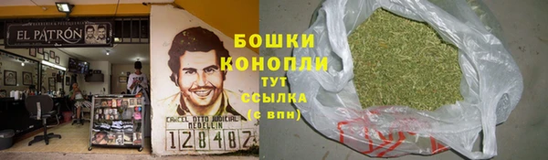 прущие грибы Гусь-Хрустальный