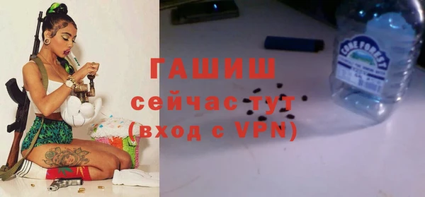 прущие грибы Гусь-Хрустальный