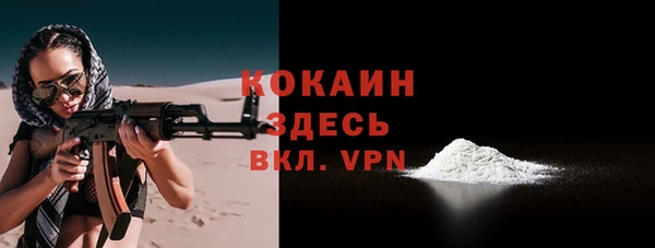 круглые Гусев
