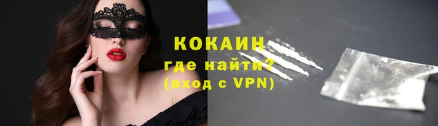 прущие грибы Гусь-Хрустальный