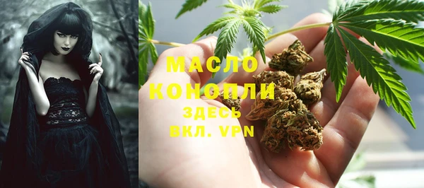 круглые Гусев