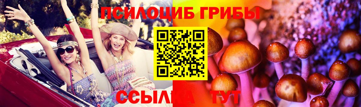 Псилоцибиновые грибы MAGIC MUSHROOMS  Вход с VPN  Обь 